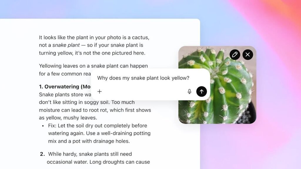 chat gpt-5 nouveauté plante