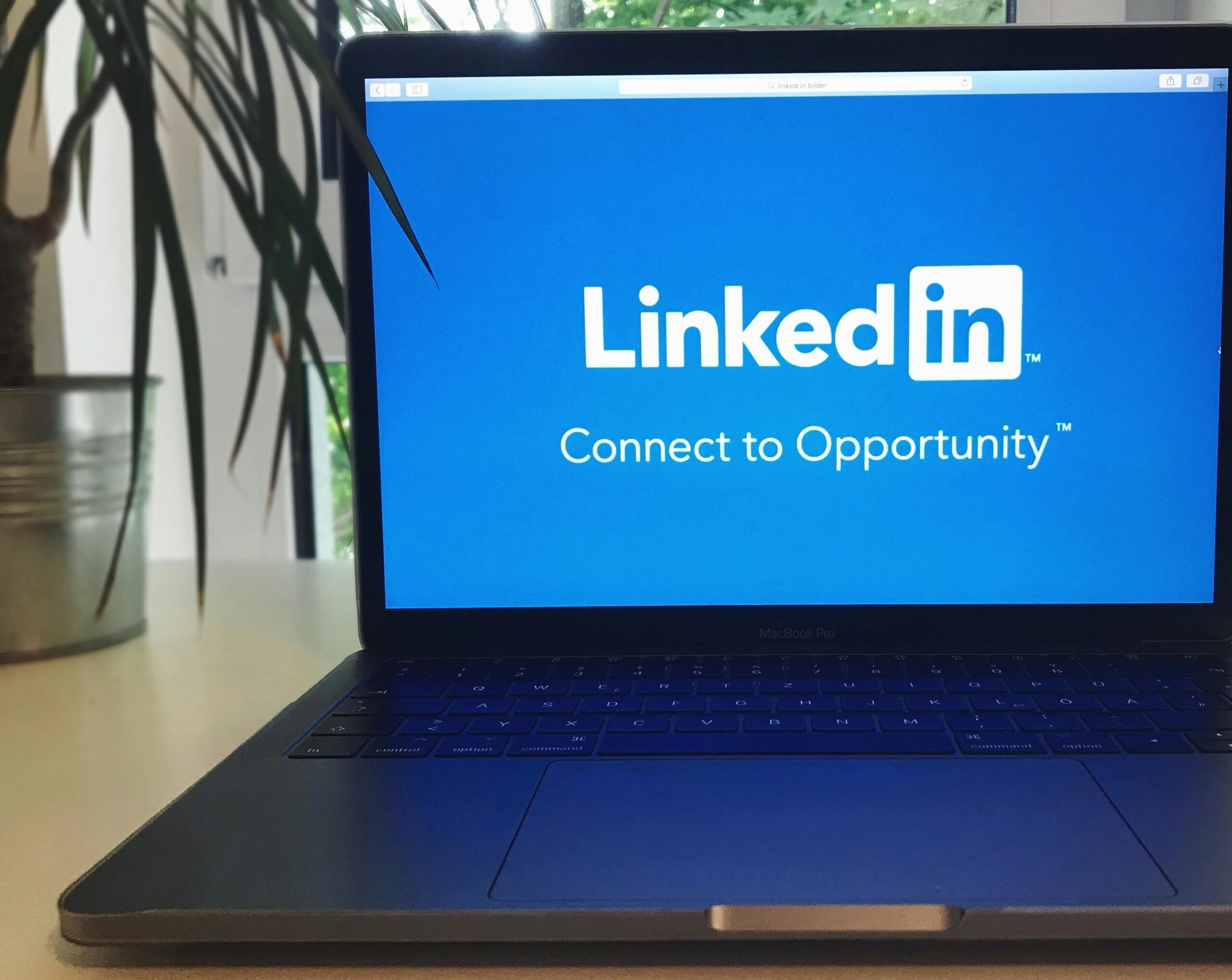 LinkedIn SEO : optimiser sa visibilité en 2026 2 LinkedIn SEO en 2026 scaled